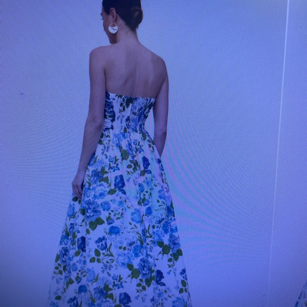 The Refornation dress - Picture 3 of 4